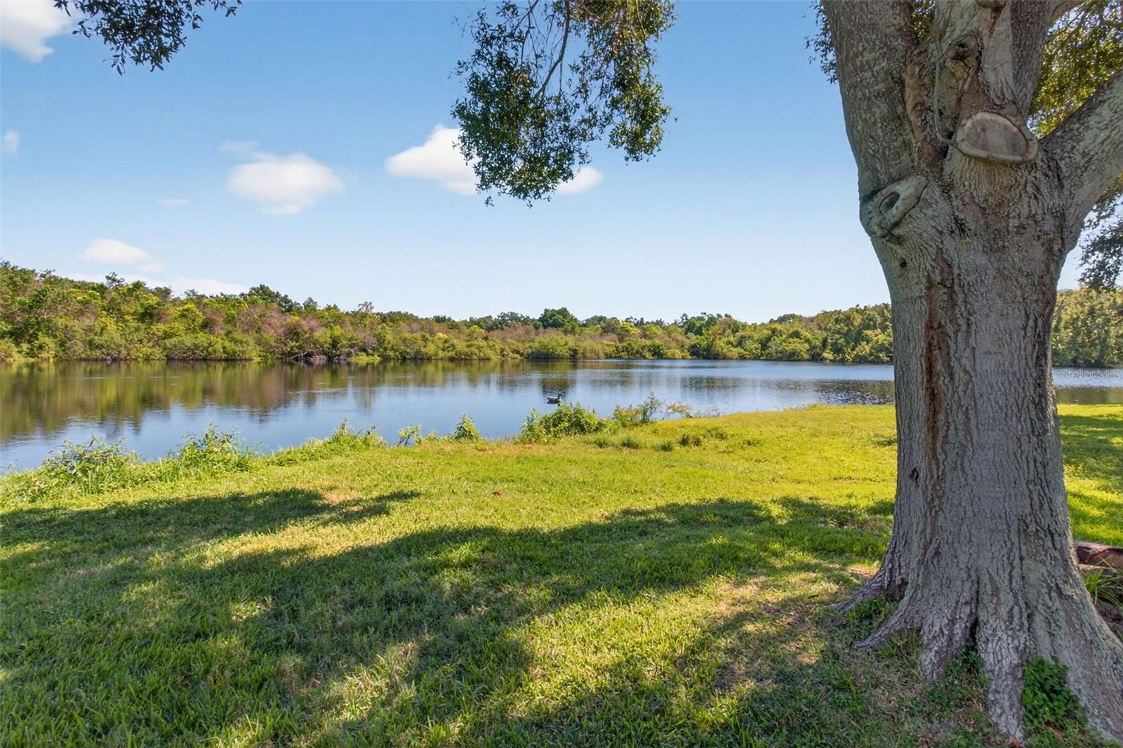 207 HANCOCK CT, SAFETY HARBOR, FL, 34695