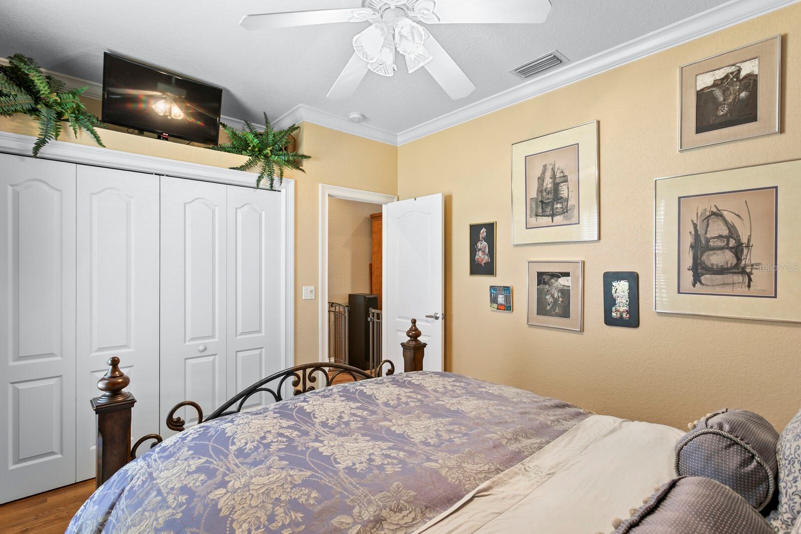 10506 CORY LAKE DR, TAMPA, FL, 33647