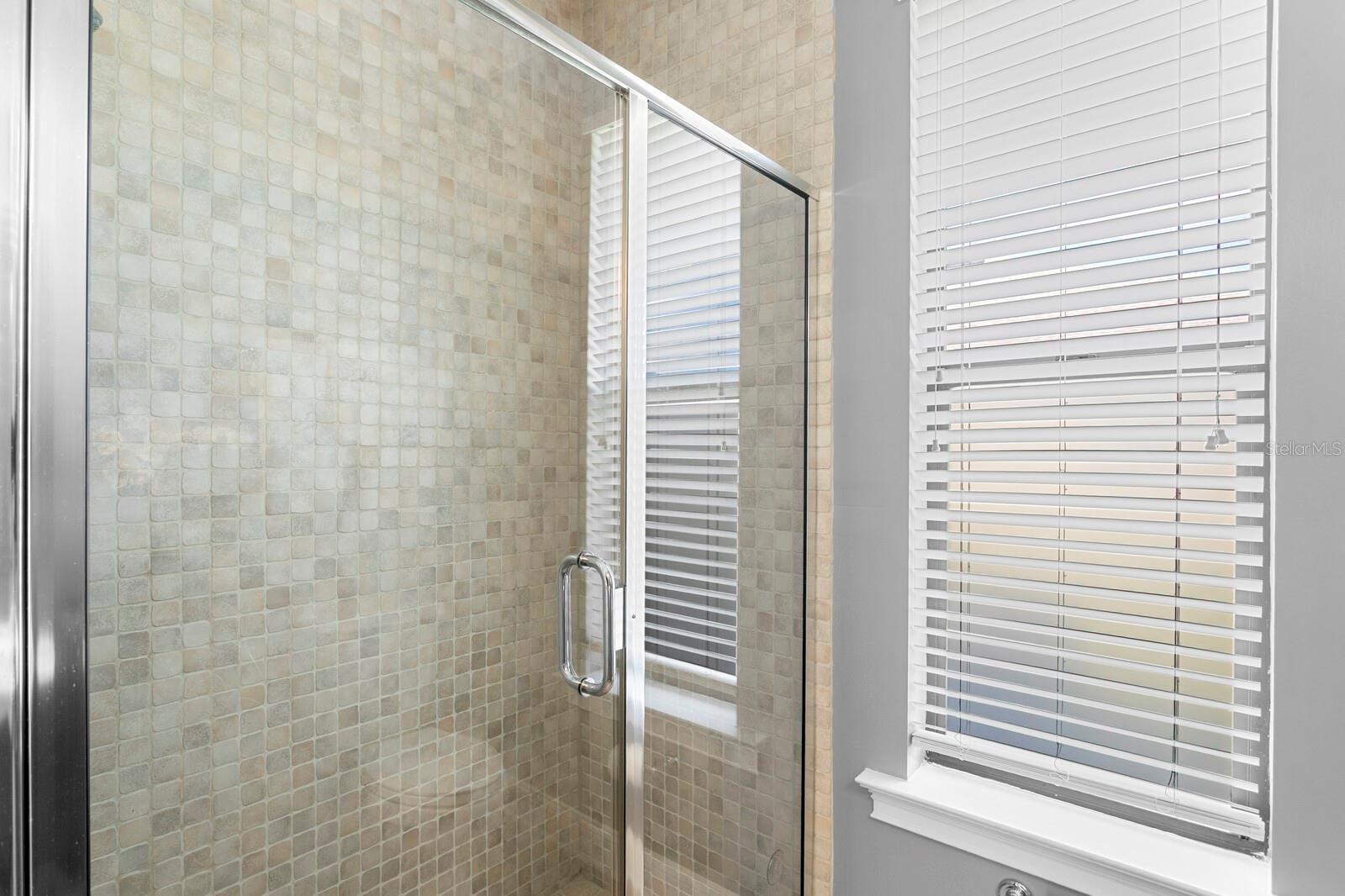 10506 CORY LAKE DR, TAMPA, FL, 33647