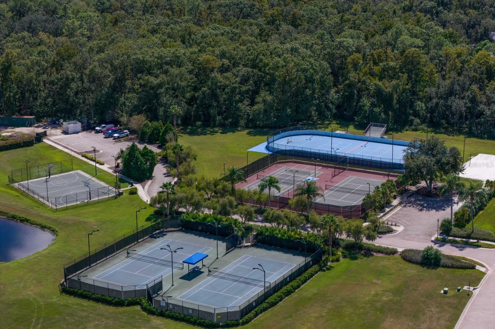 10506 CORY LAKE DR, TAMPA, FL, 33647