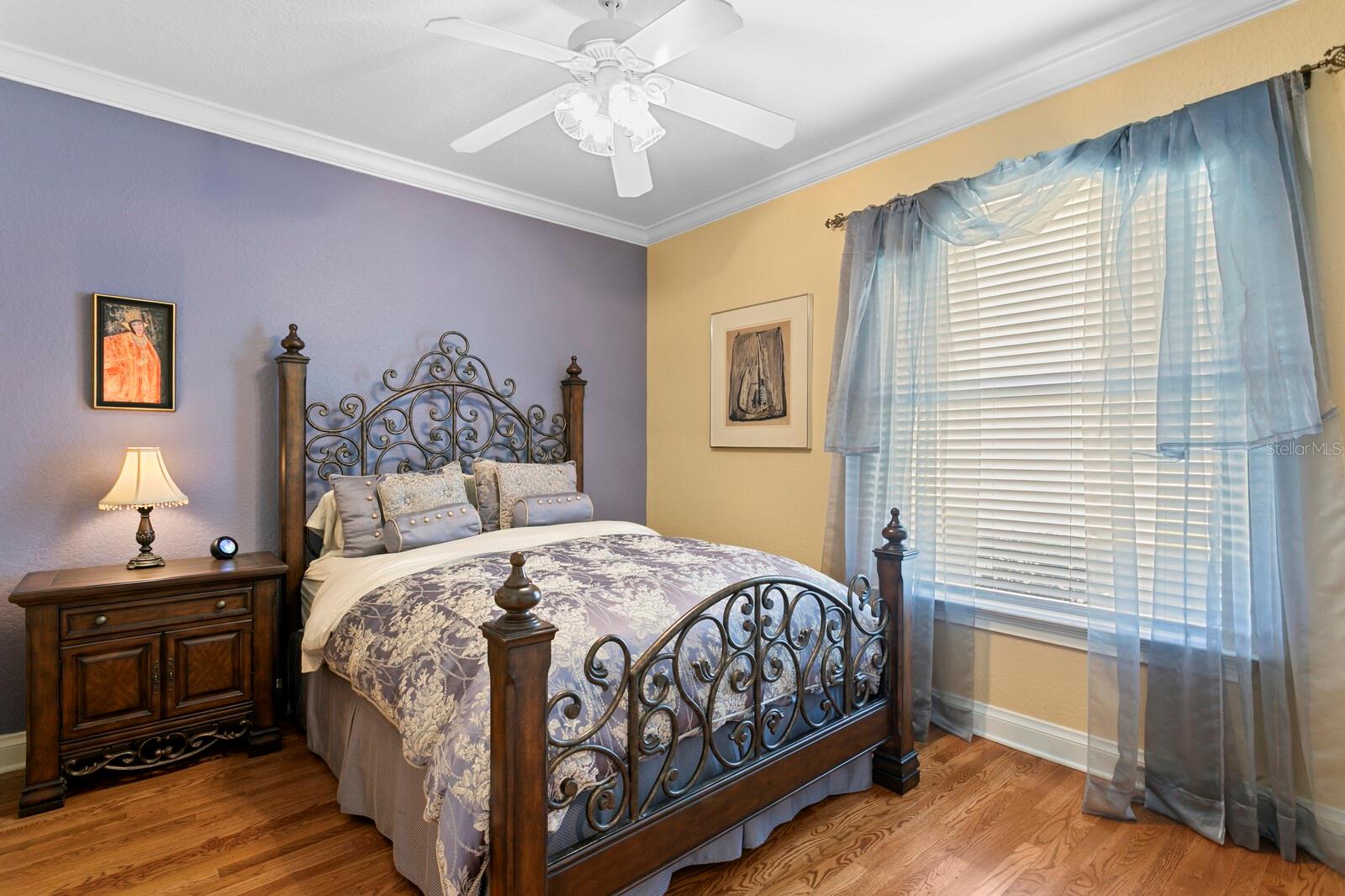 10506 CORY LAKE DR, TAMPA, FL, 33647