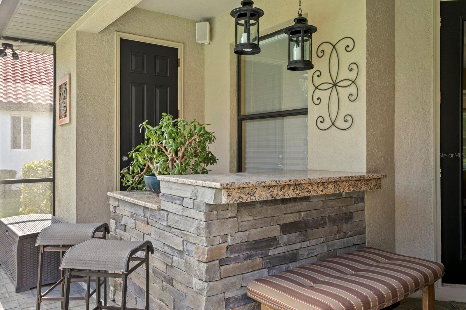 10506 CORY LAKE DR, TAMPA, FL, 33647