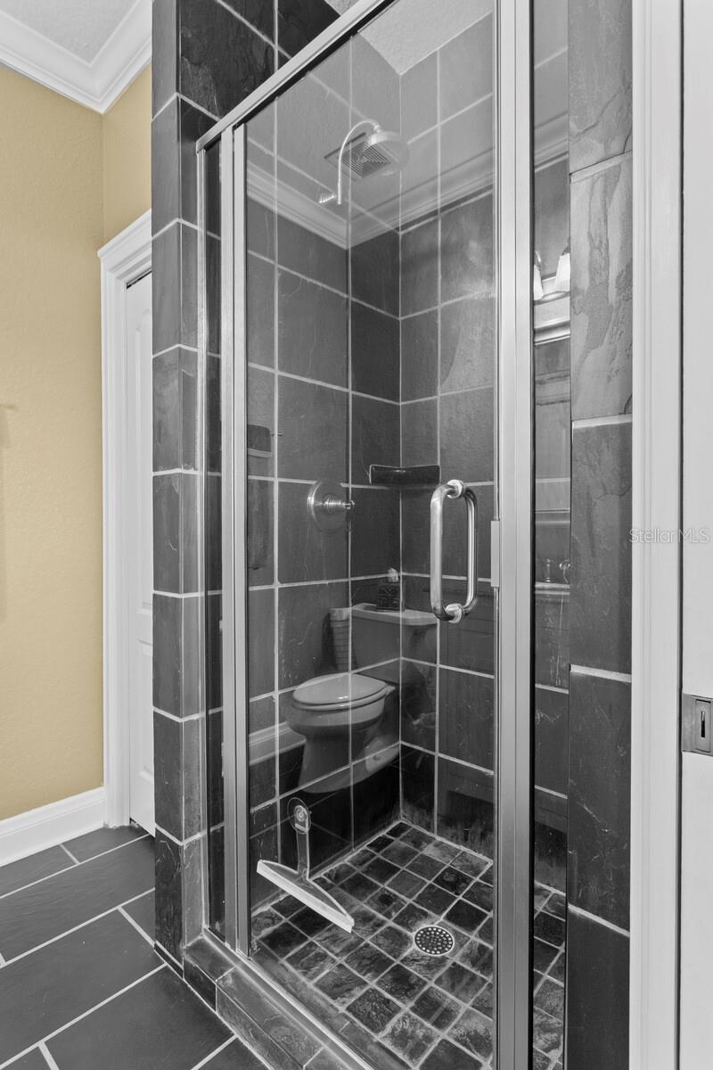 10506 CORY LAKE DR, TAMPA, FL, 33647