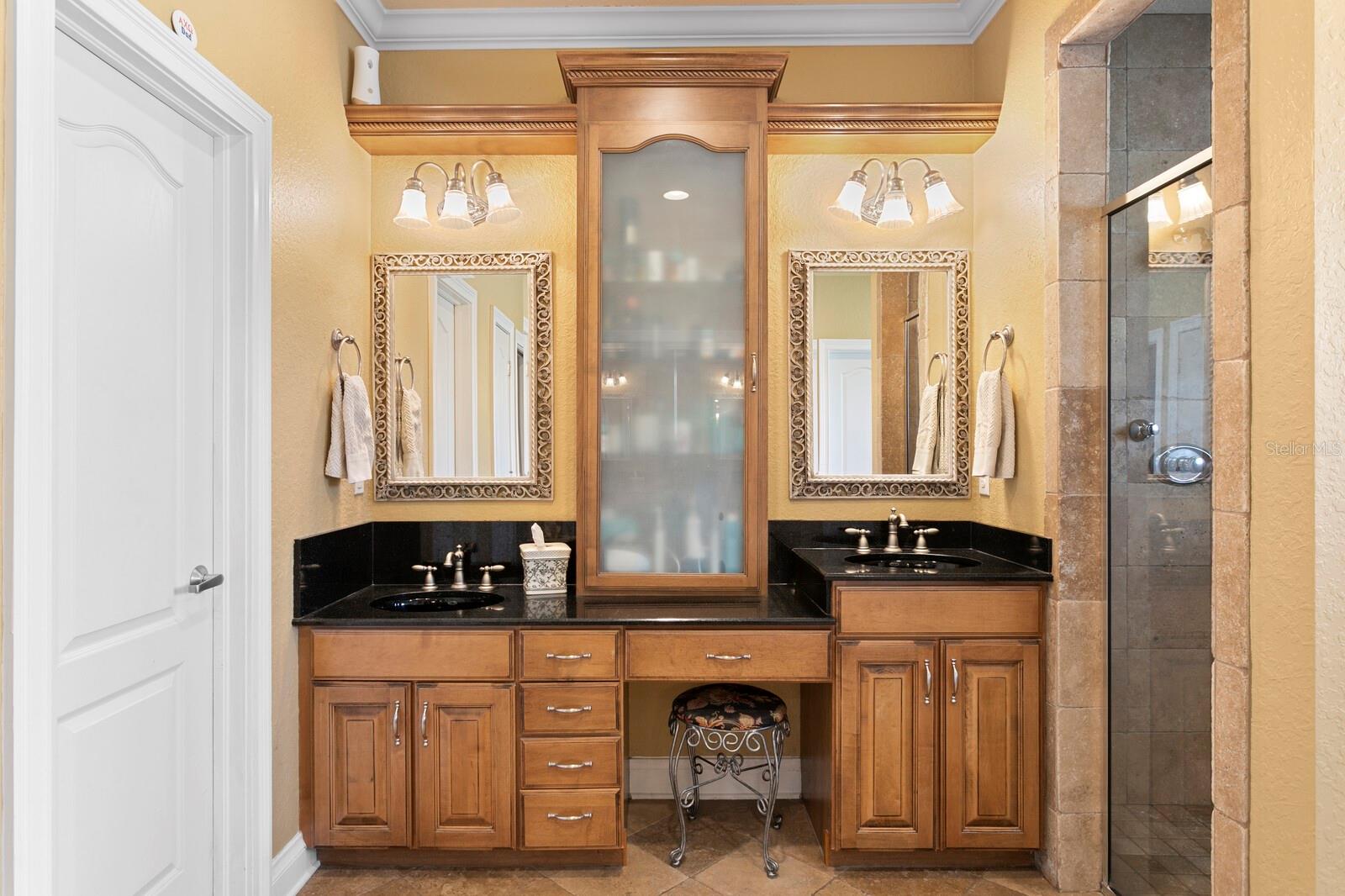 10506 CORY LAKE DR, TAMPA, FL, 33647