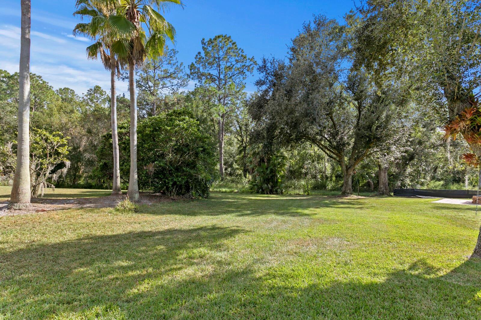 10506 CORY LAKE DR, TAMPA, FL, 33647