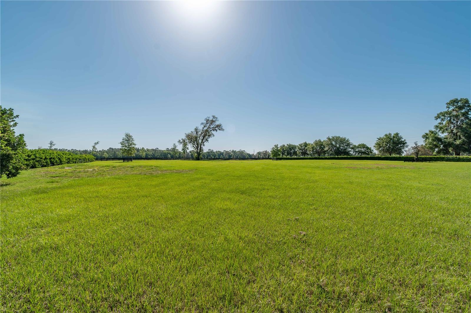 5363 NW 153RD CT, MORRISTON, FL, 32668