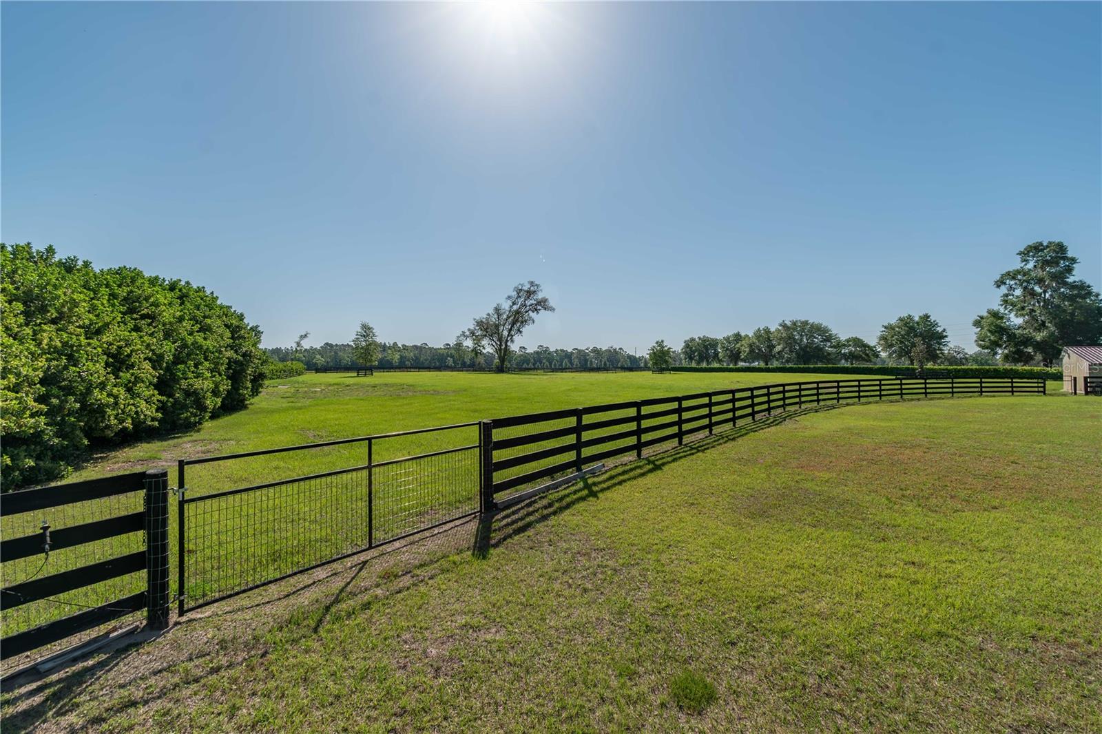 5363 NW 153RD CT, MORRISTON, FL, 32668