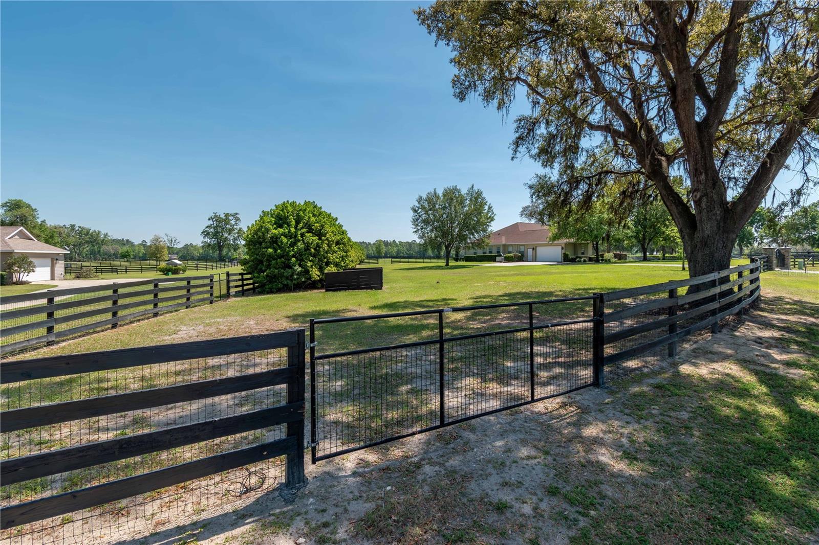 5363 NW 153RD CT, MORRISTON, FL, 32668