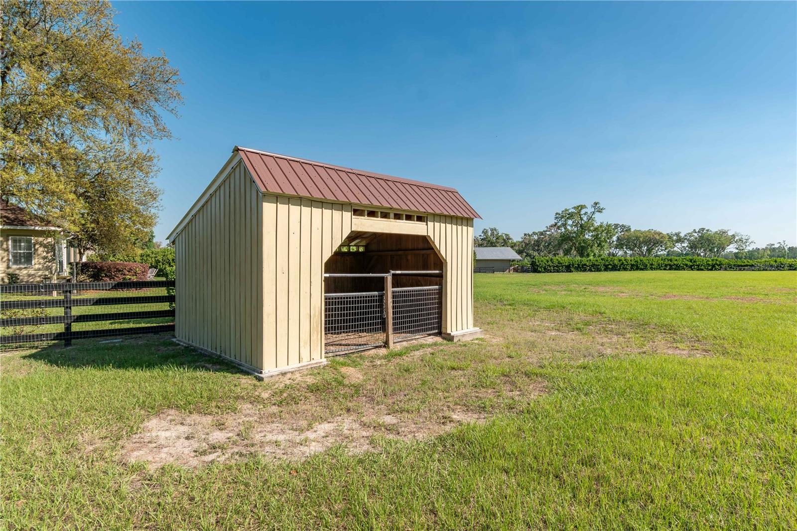 5363 NW 153RD CT, MORRISTON, FL, 32668