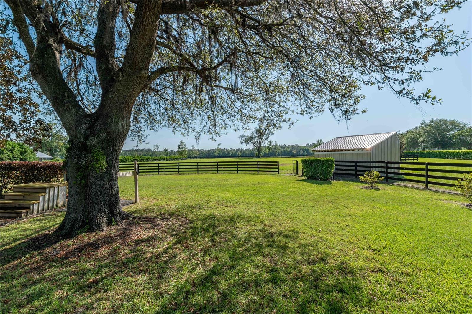 5363 NW 153RD CT, MORRISTON, FL, 32668