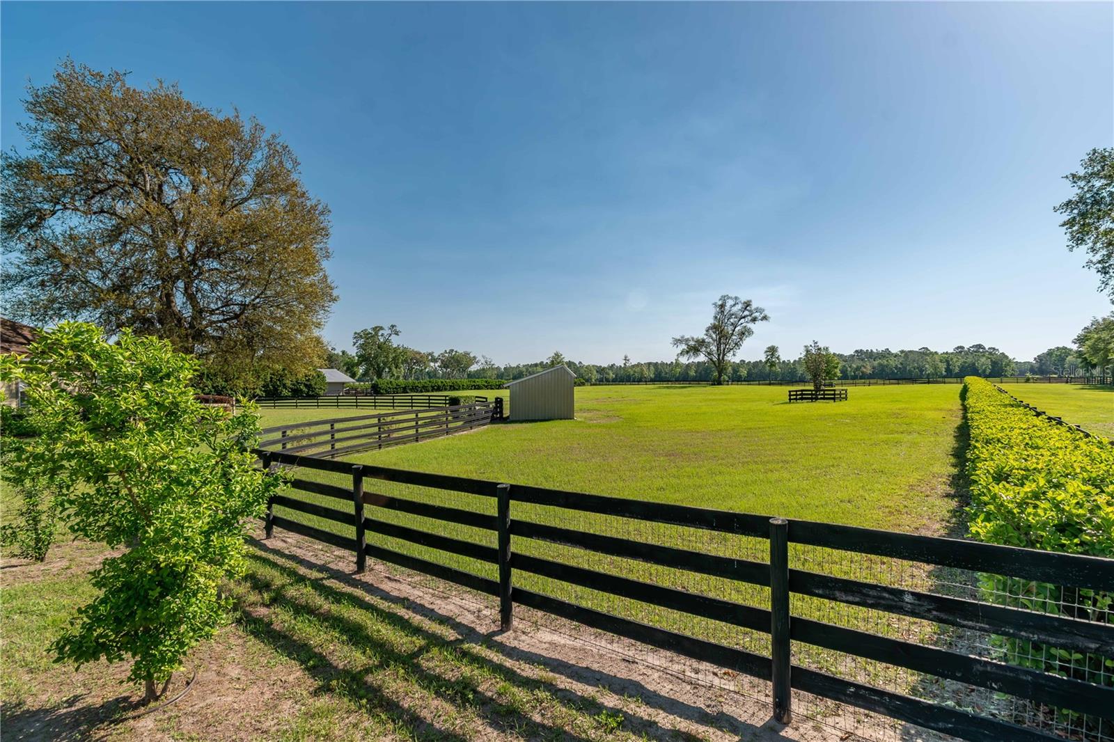 5363 NW 153RD CT, MORRISTON, FL, 32668