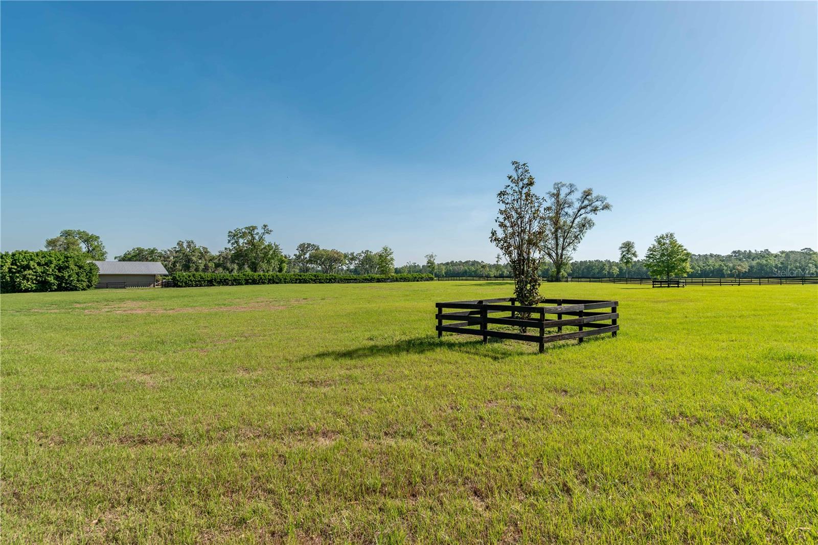 5363 NW 153RD CT, MORRISTON, FL, 32668