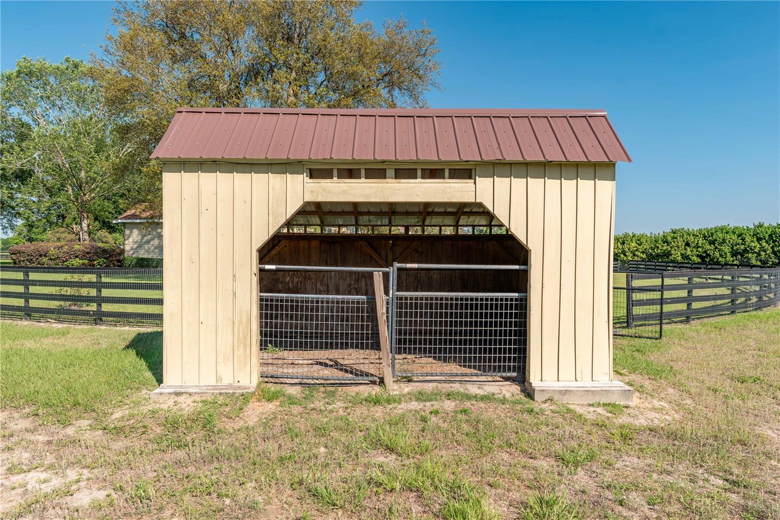 5363 NW 153RD CT, MORRISTON, FL, 32668