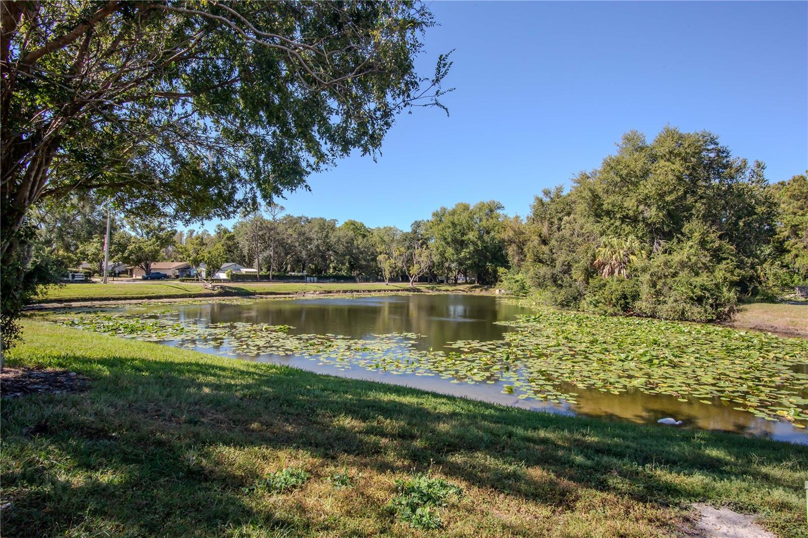 16112 RAMBLING VINE DR W, TAMPA, FL, 33624