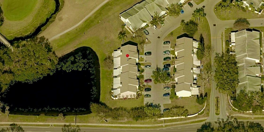 16112 RAMBLING VINE DR W, TAMPA, FL, 33624