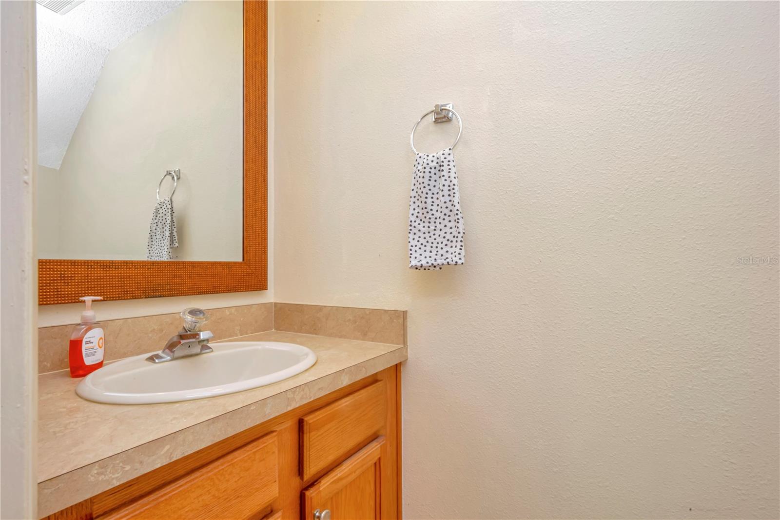 16112 RAMBLING VINE DR W, TAMPA, FL, 33624