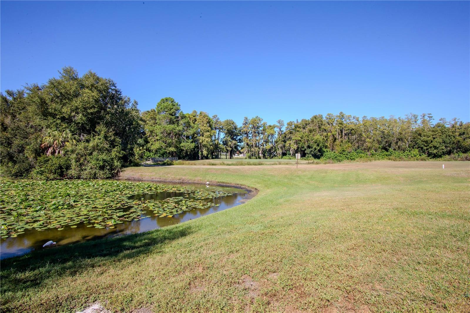 16112 RAMBLING VINE DR W, TAMPA, FL, 33624