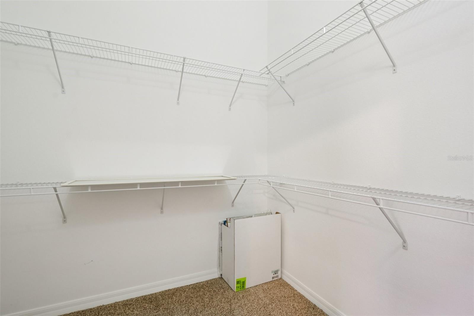 3317 BROKEN BOW DR, LAND O LAKES, FL, 34639