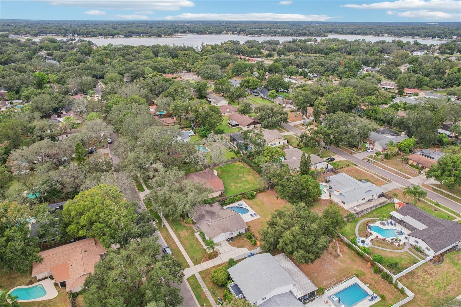 1203 BEACON HILL DR, TAMPA, FL, 33613