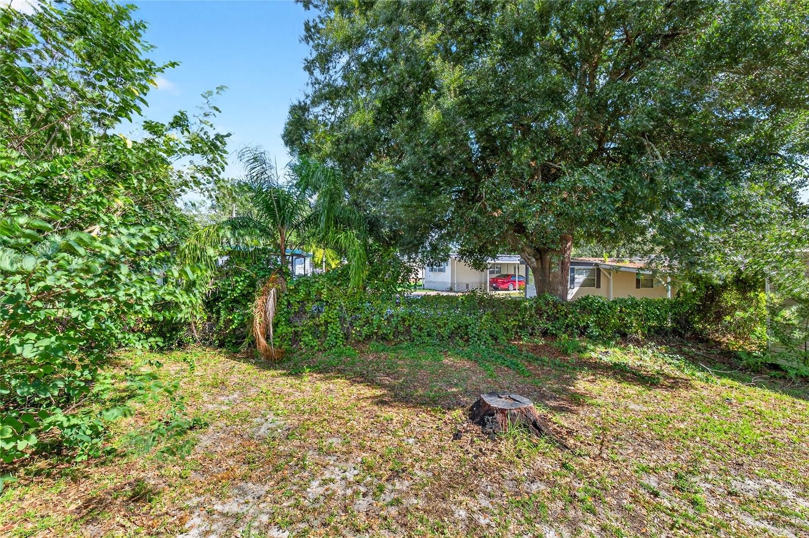 413 QUAIL ST, LADY LAKE, FL, 32159