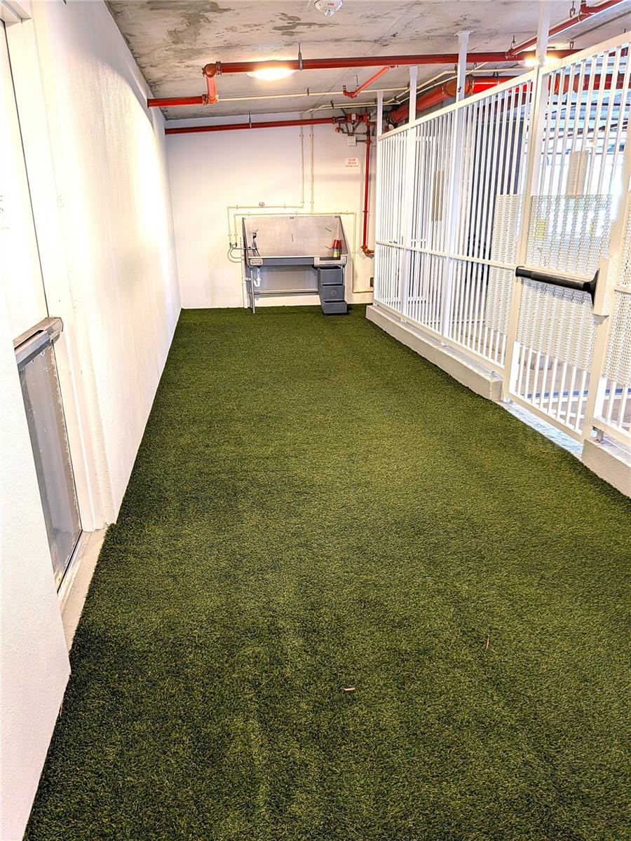 Indoor Secured Dog Run and Bathing Station