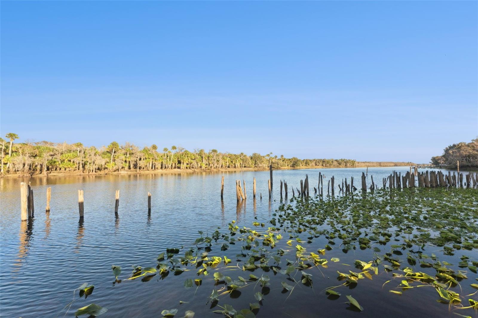 2565 E OSCEOLA RD, GENEVA, FL, 32732