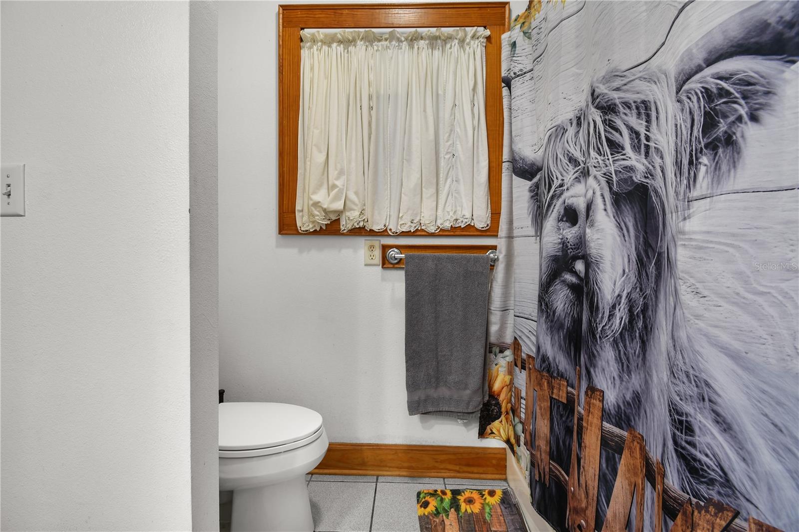 10807 NW LILY COUNTY LINE RD, ONA, FL, 33865