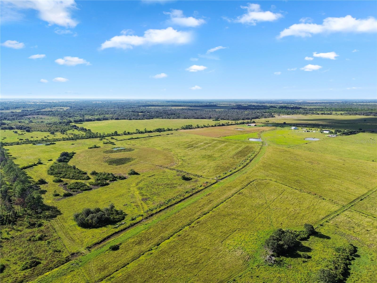 10807 NW LILY COUNTY LINE RD, ONA, FL, 33865