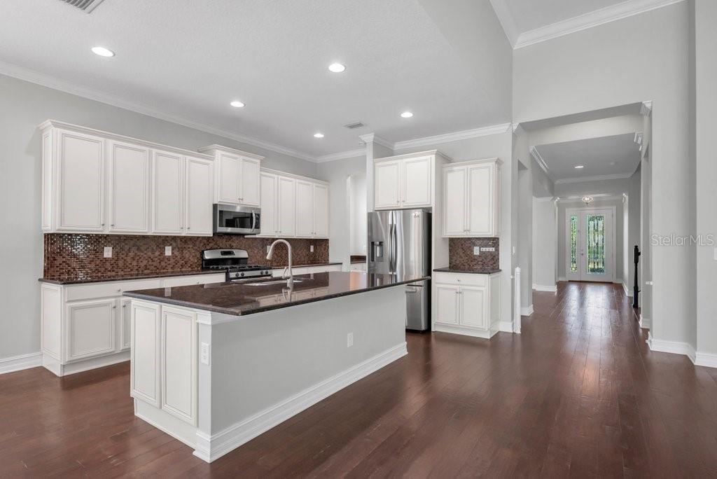 15607 SUNSET RUN LN, LITHIA, FL, 33547