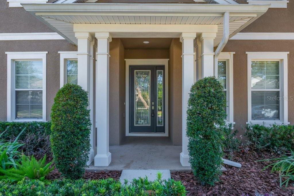 15607 SUNSET RUN LN, LITHIA, FL, 33547