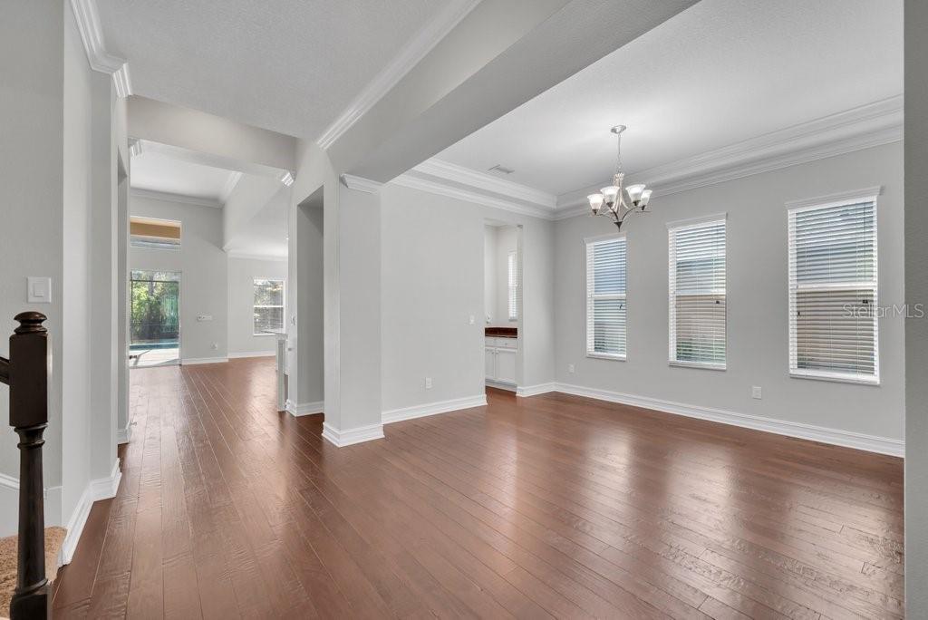 15607 SUNSET RUN LN, LITHIA, FL, 33547