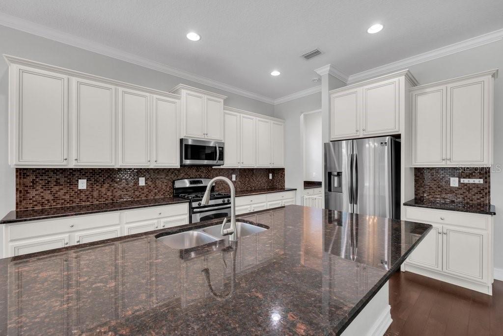 15607 SUNSET RUN LN, LITHIA, FL, 33547