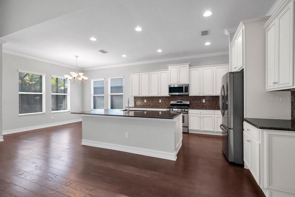 15607 SUNSET RUN LN, LITHIA, FL, 33547