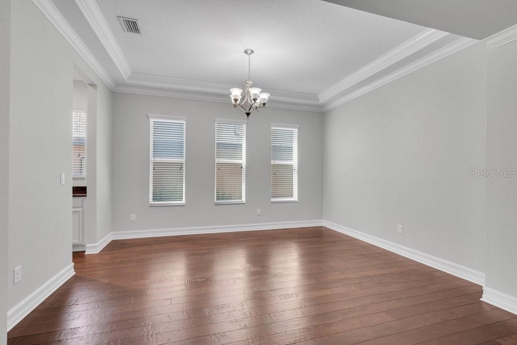 15607 SUNSET RUN LN, LITHIA, FL, 33547