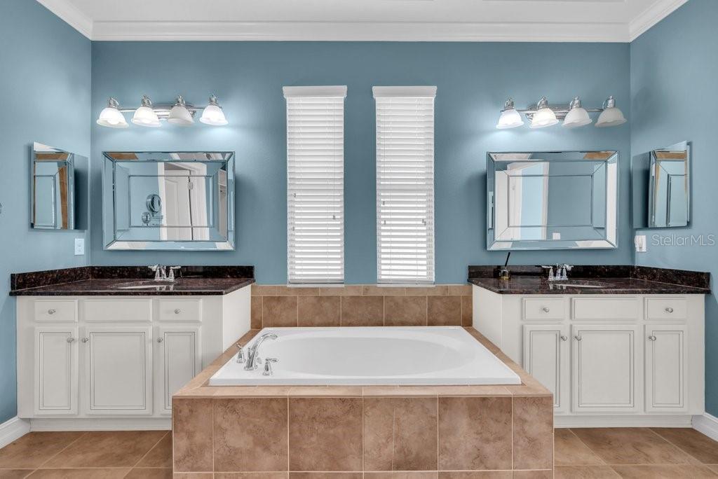 15607 SUNSET RUN LN, LITHIA, FL, 33547