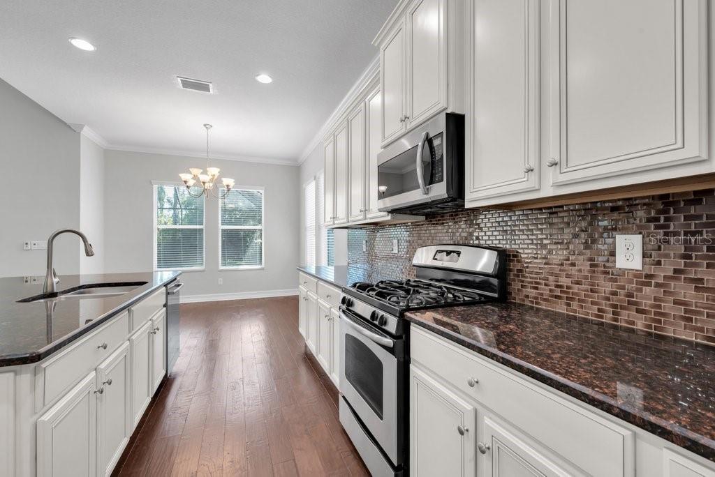 15607 SUNSET RUN LN, LITHIA, FL, 33547