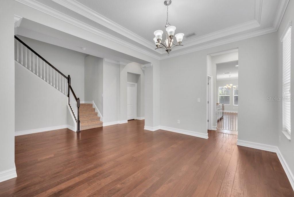 15607 SUNSET RUN LN, LITHIA, FL, 33547