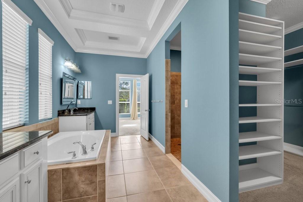 15607 SUNSET RUN LN, LITHIA, FL, 33547