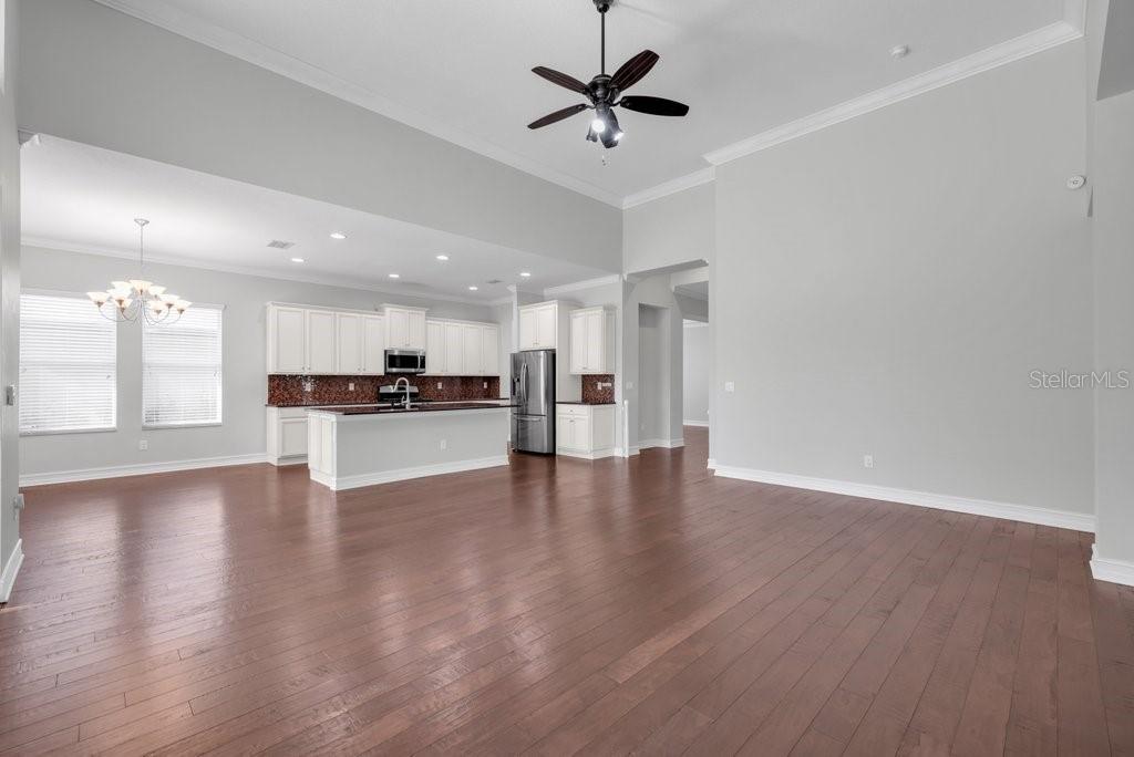 15607 SUNSET RUN LN, LITHIA, FL, 33547