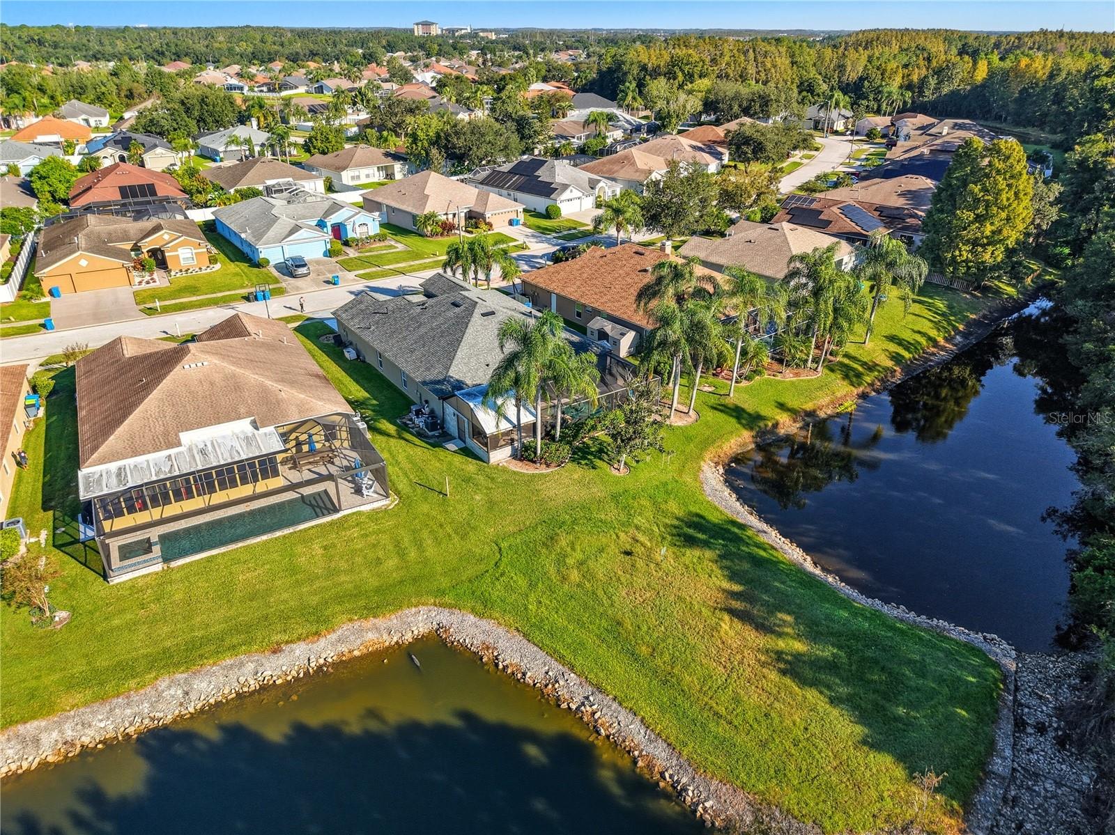 29443 ALLEGRO DR, WESLEY CHAPEL, FL, 33543