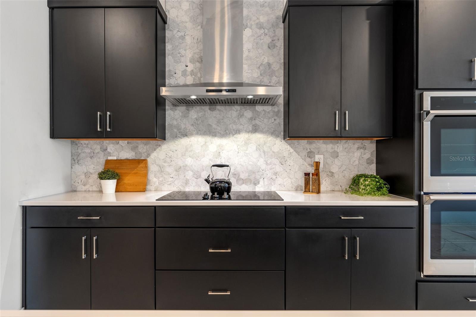 8541 IVY STARK BLVD, WESLEY CHAPEL, FL, 33545