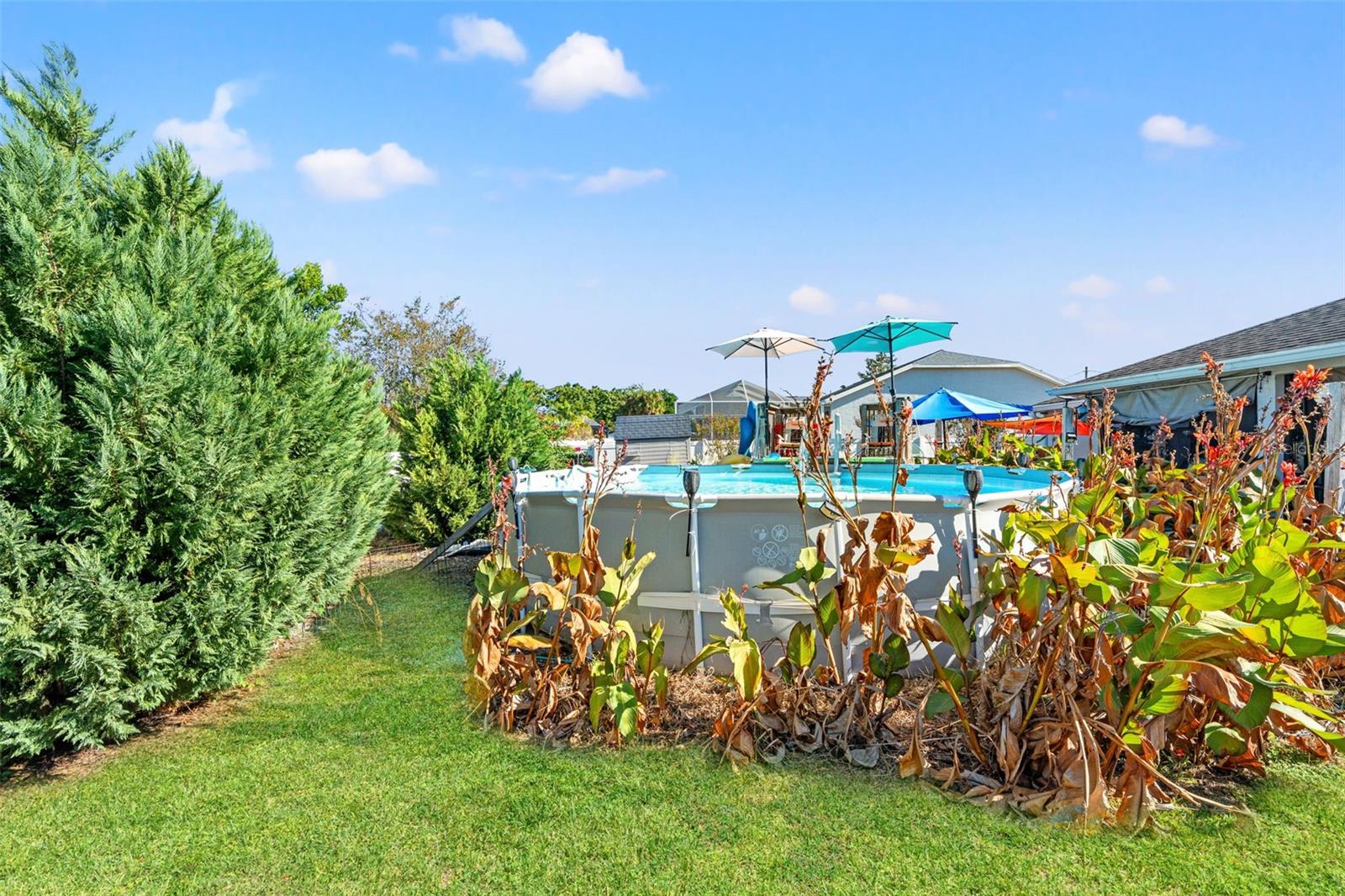 5239 BERRIEN AVE, SPRING HILL, FL, 34608