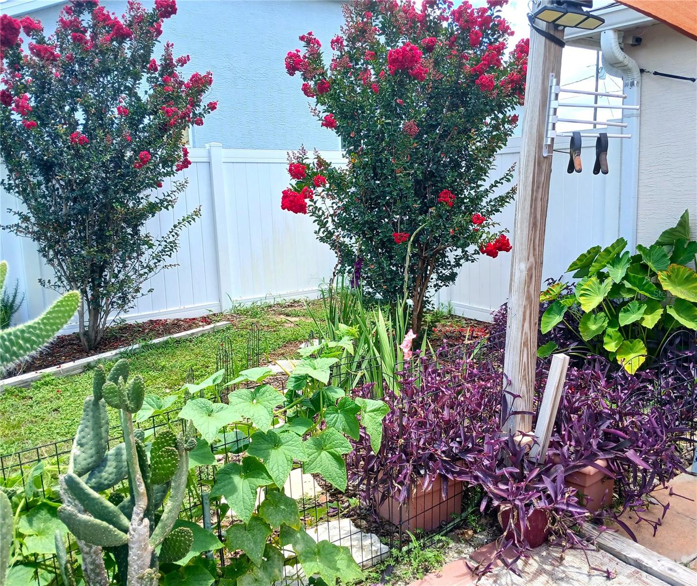 5239 BERRIEN AVE, SPRING HILL, FL, 34608