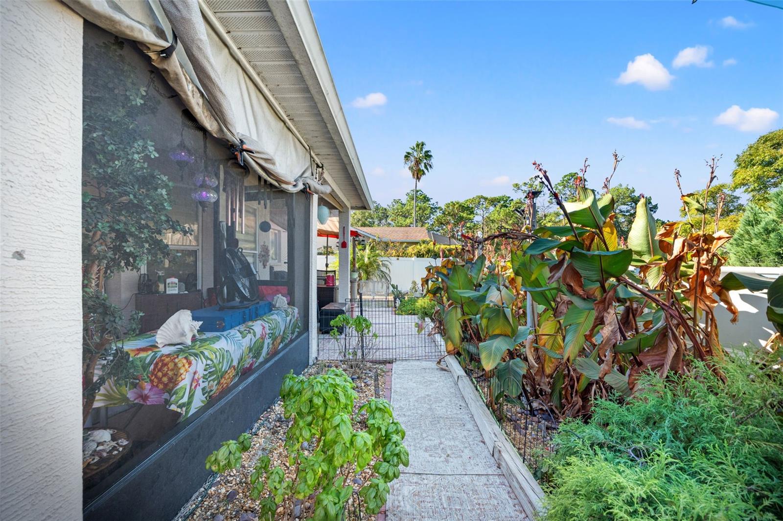 5239 BERRIEN AVE, SPRING HILL, FL, 34608