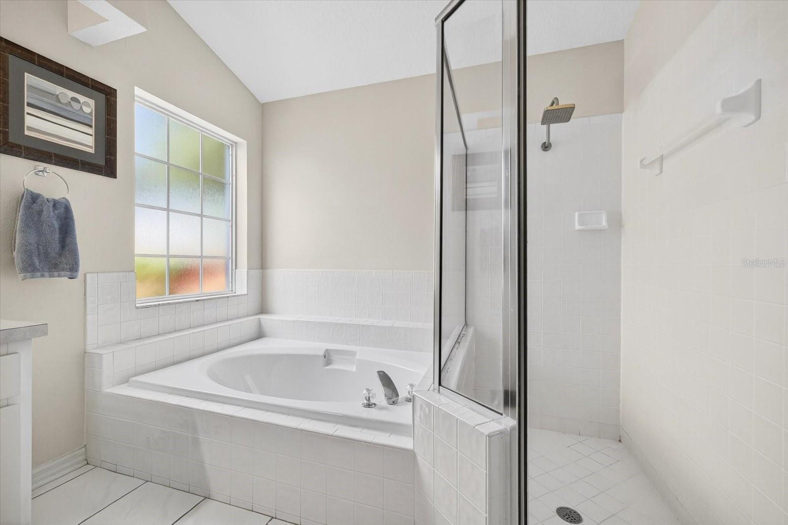 9203 SUNFLOWER DR, TAMPA, FL, 33647