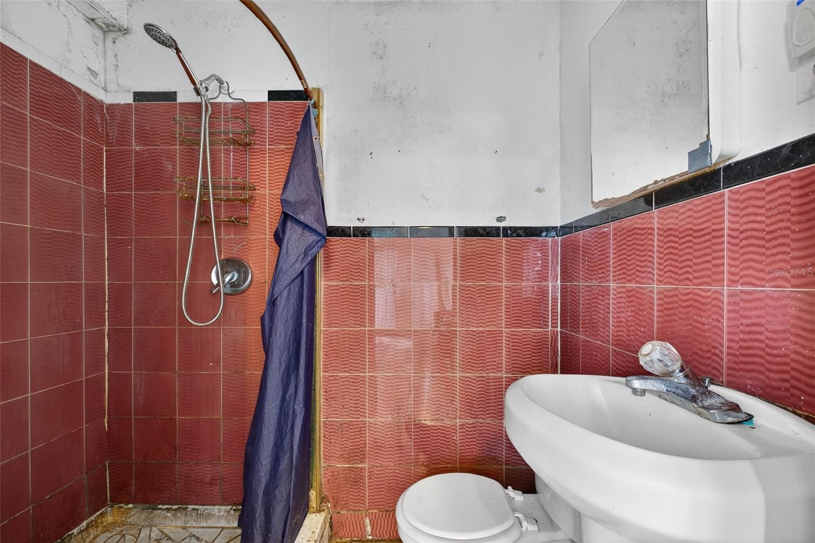 6207 BLOSSOM AVE, TAMPA, FL, 33614