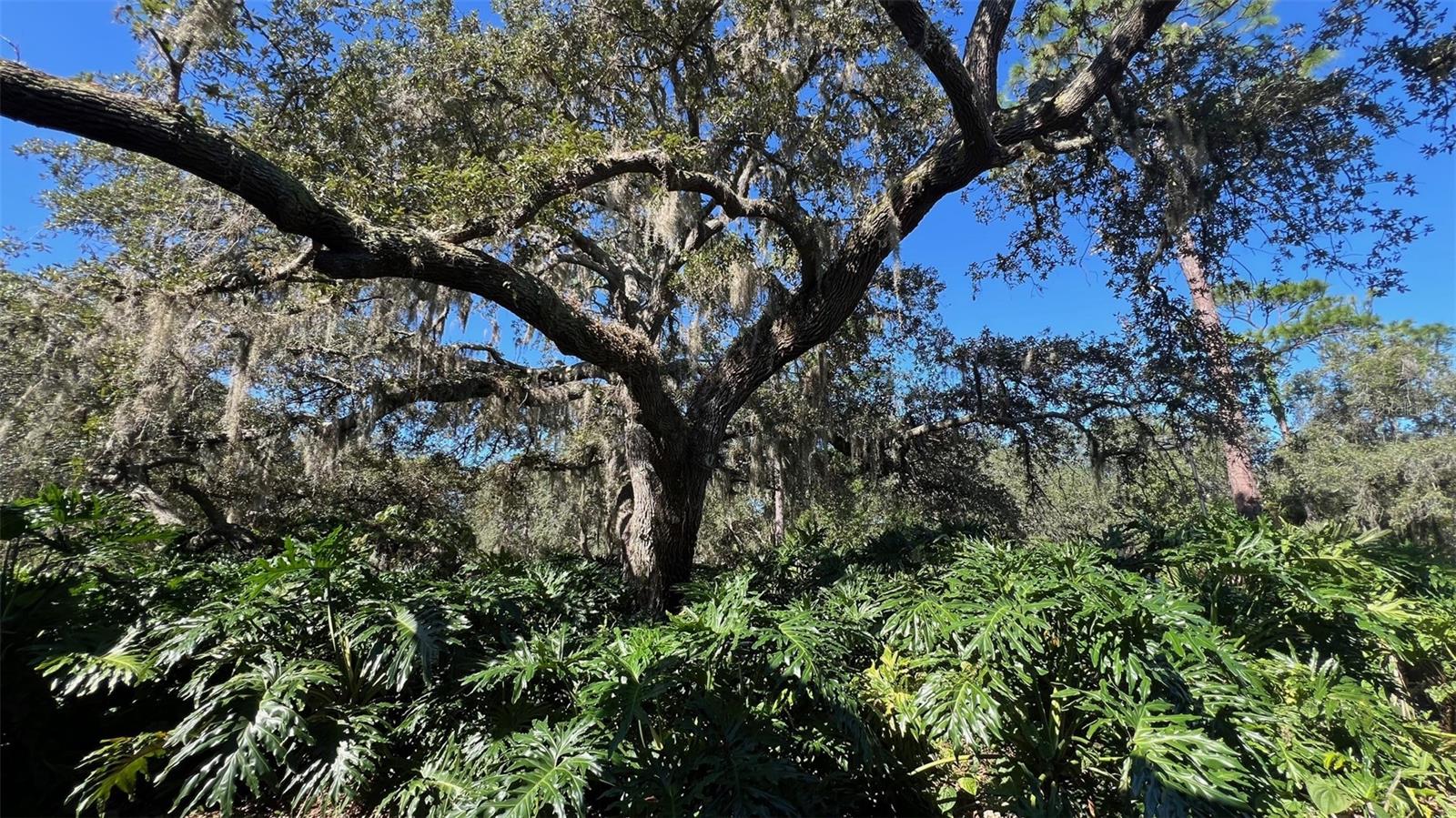 4066 ABBEY CT, HAINES CITY, FL, 33844