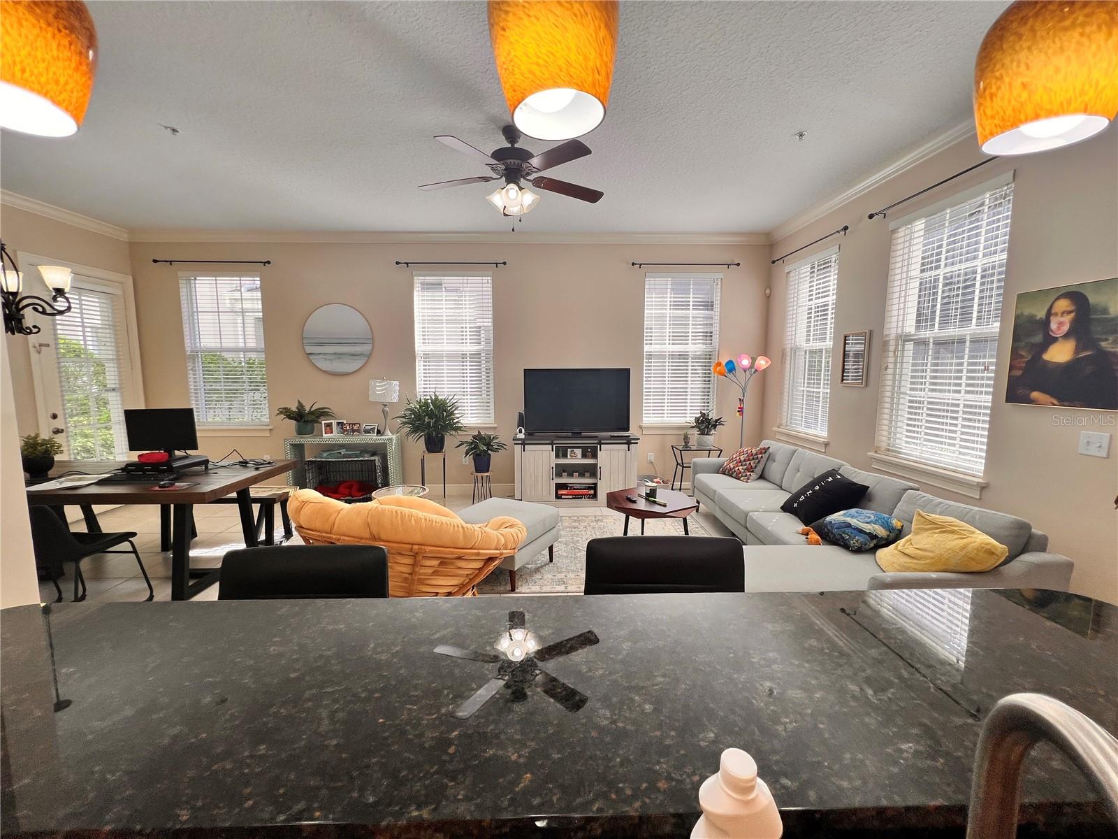 1519 LAKE BALDWIN LN, ORLANDO, FL, 32814