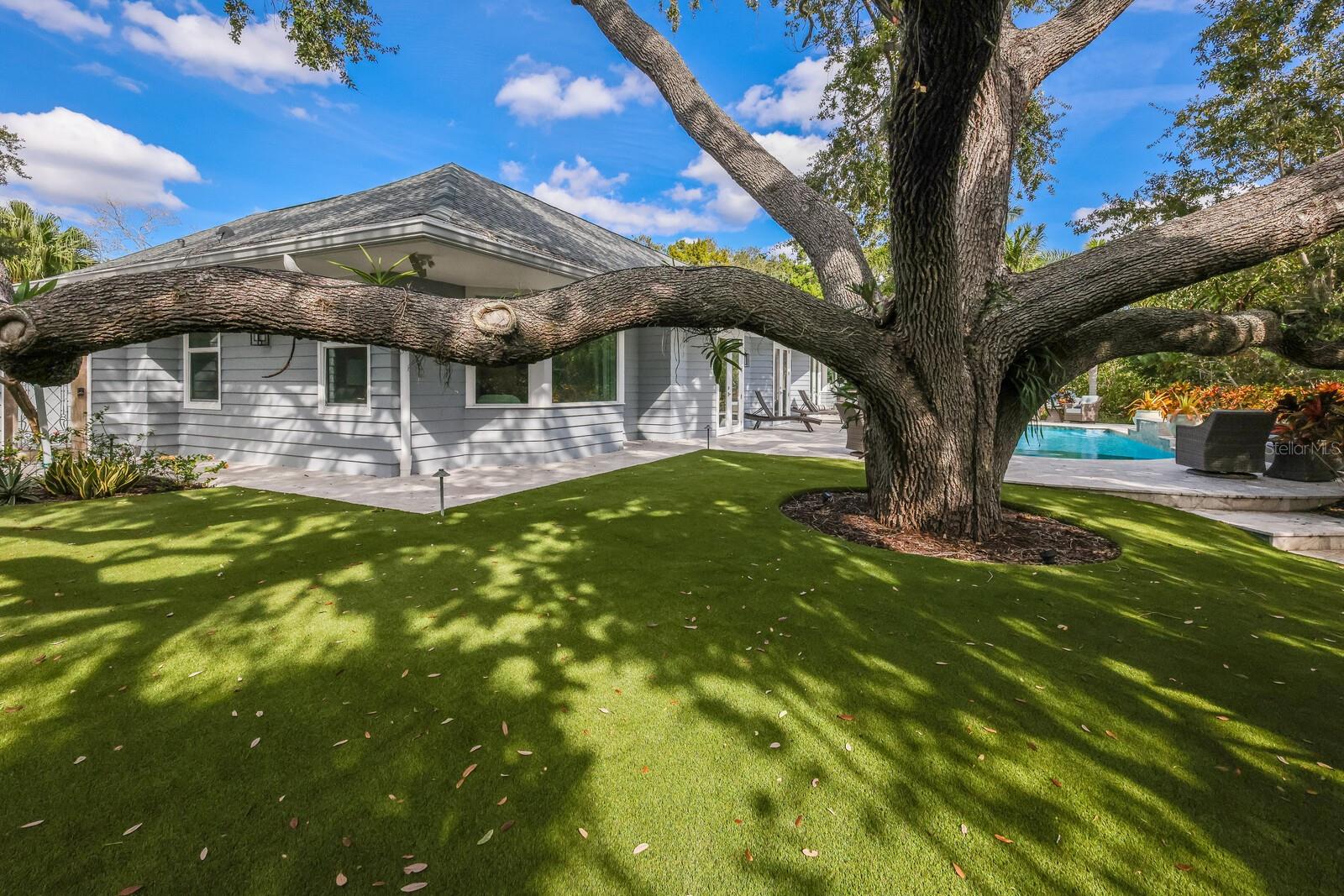 A4668457 Property Photo