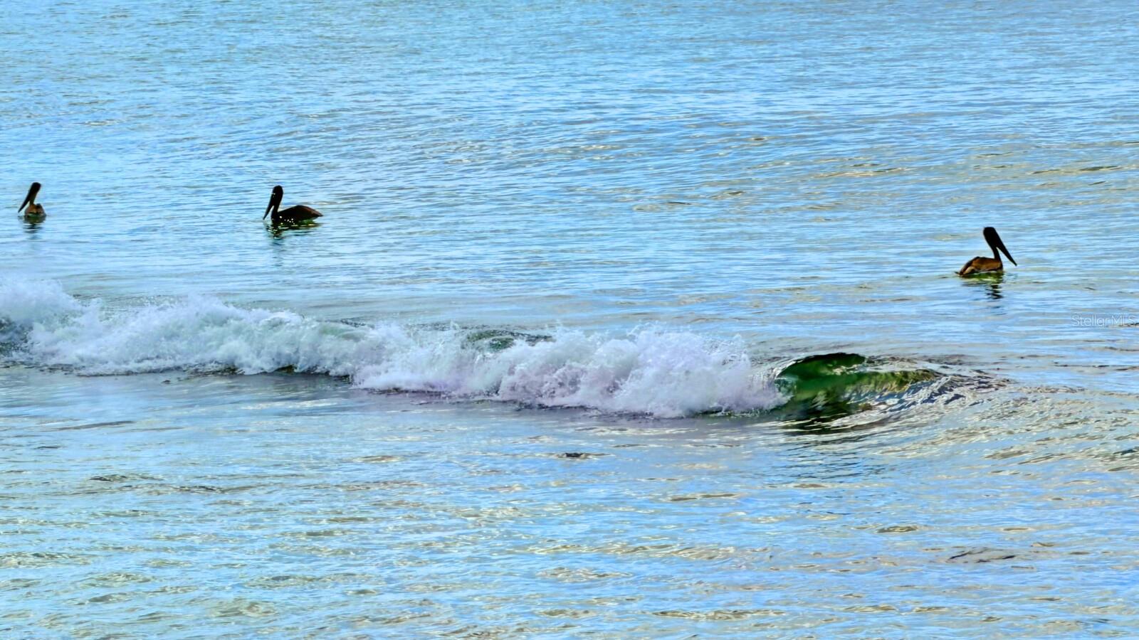 A4668466 Property Photo